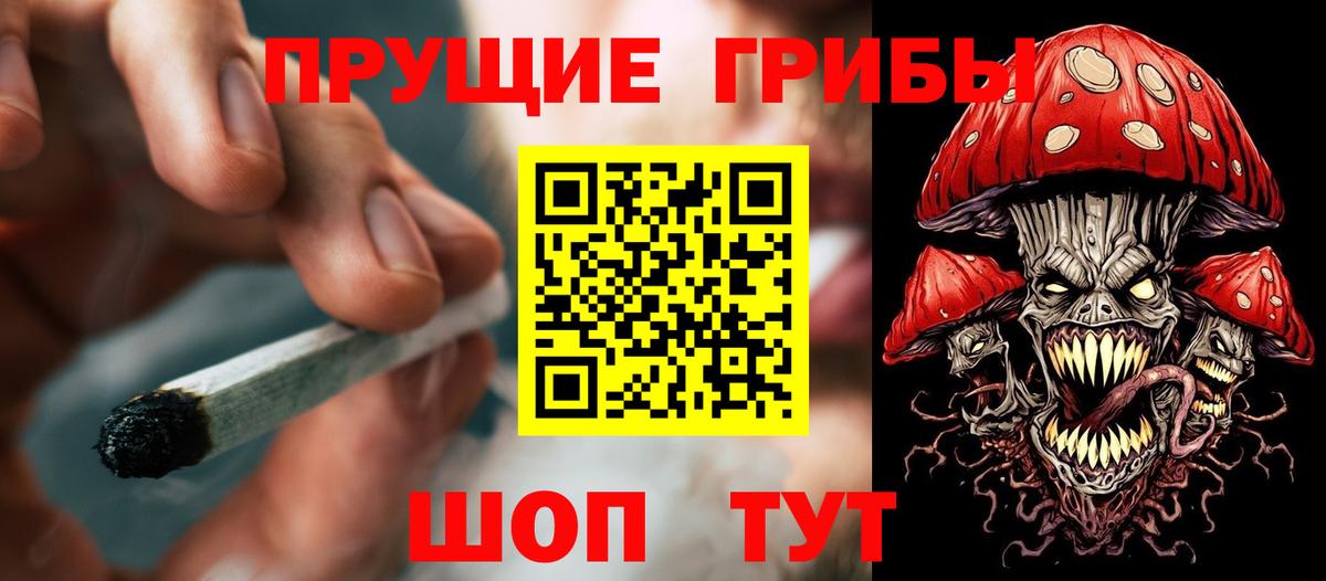 Галлюциногенные грибы Psilocybe Альметьевск